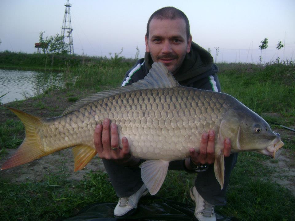 1 - 246656561727700526720455749692n1.jpg